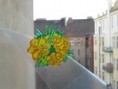 /album/dekorovani-skla-za-sucha-postup/img-0278-jpg1/
